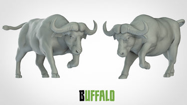 Buffaloes